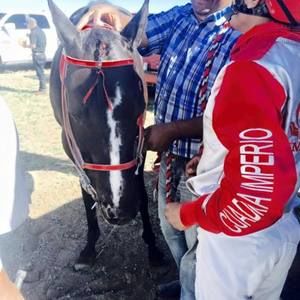 Meet your Posher, Jose molina